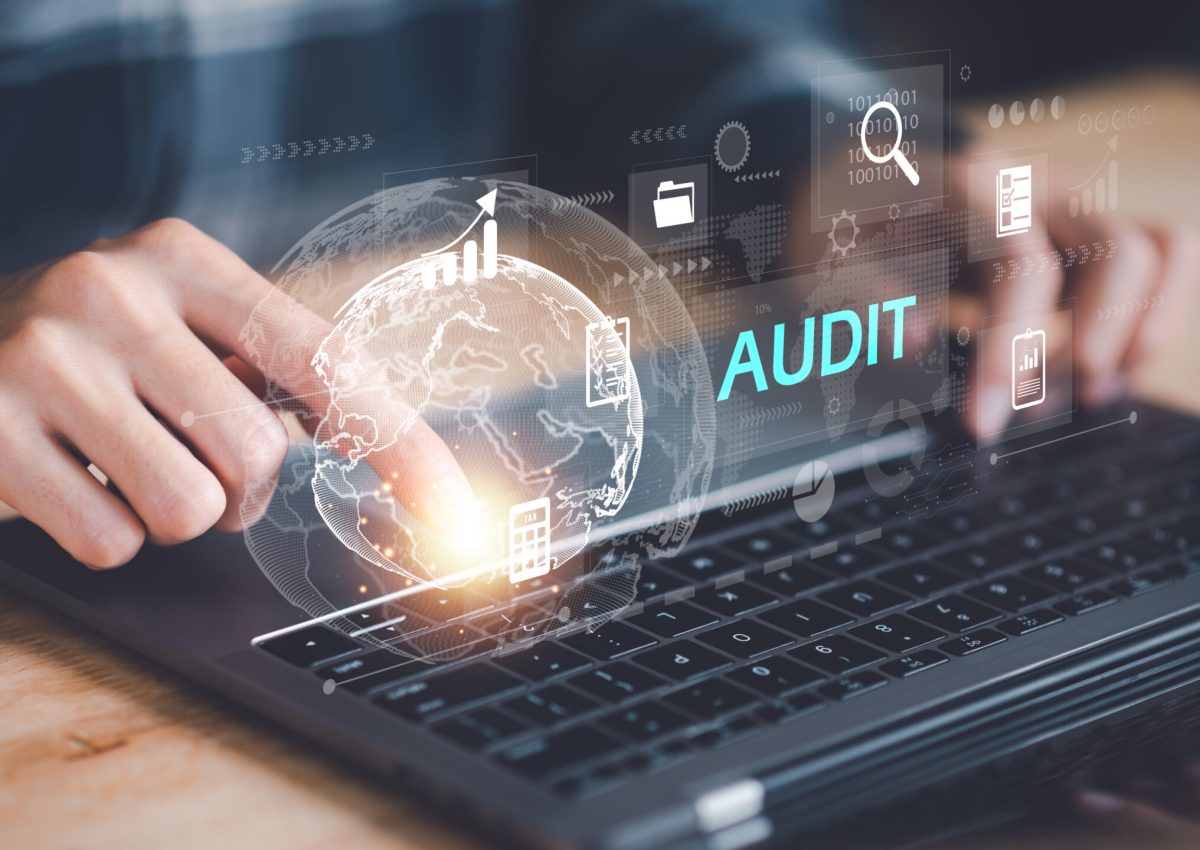 concept of auditing and evaluating quality and efficiency of personnel ,business document evaluation process ,inspection of business finance tax documents ,Data analysis reports growth results